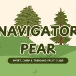 Navigator Pear: Sweet, Crisp & Trending Fruit Guide